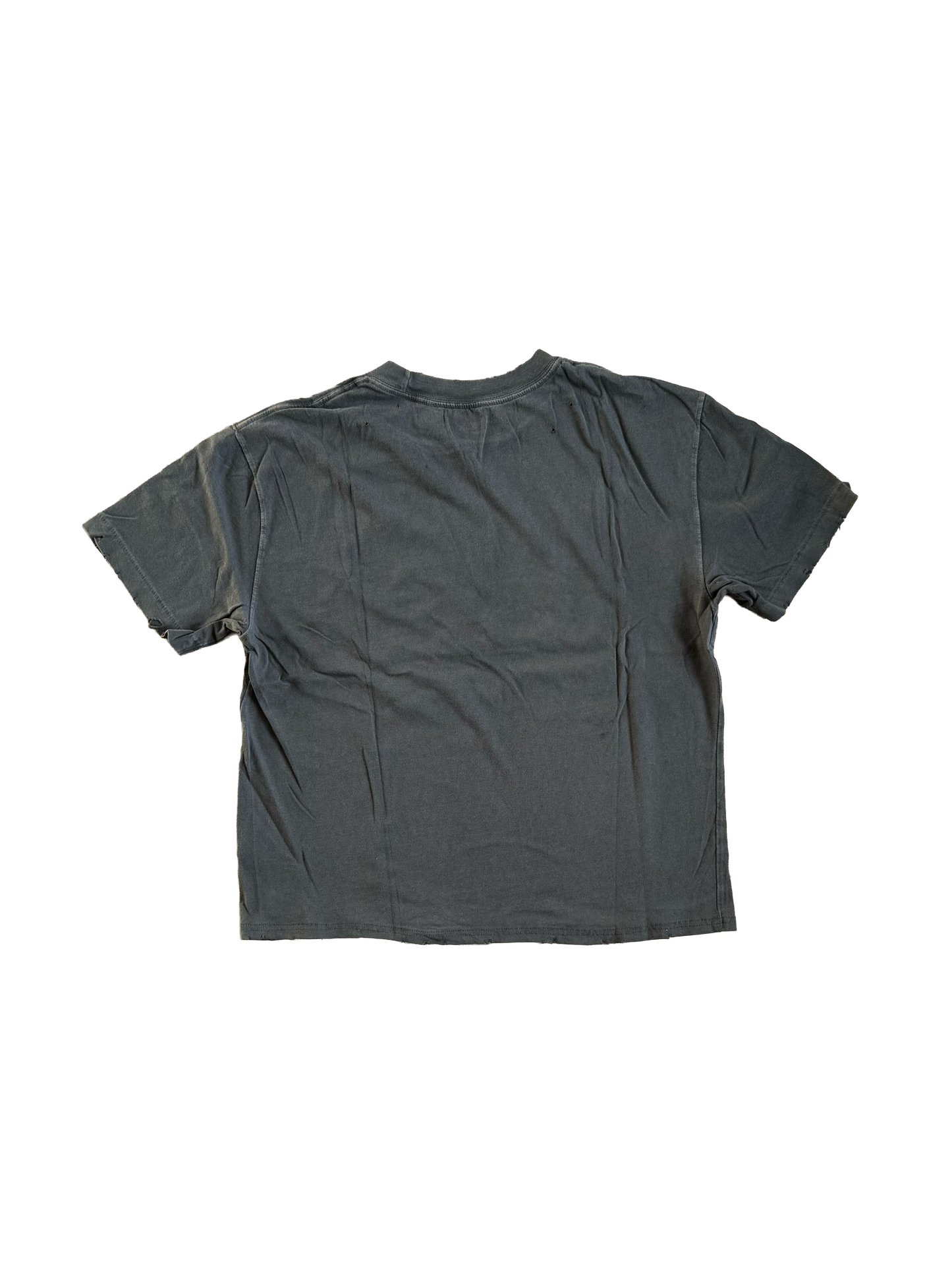 T-shirt DLTE